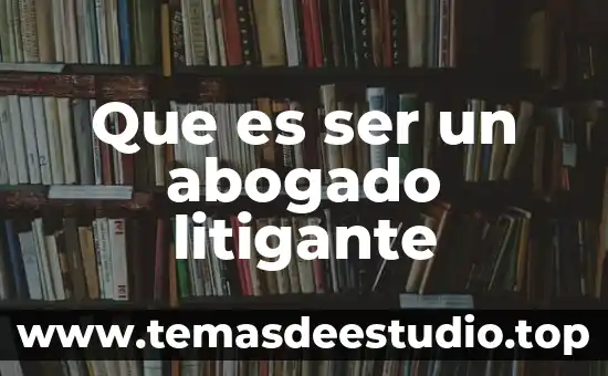 Que es ser un abogado litigante