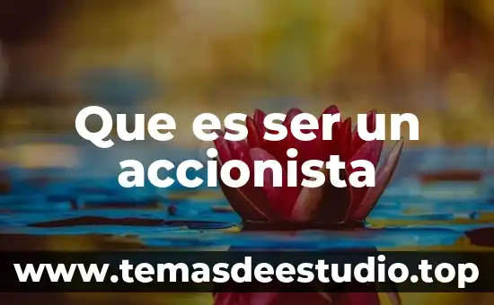 Que es ser agente educativo 4 Que es ser un accionista