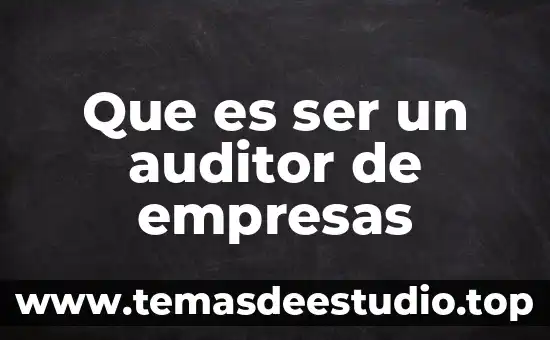 Que es ser un auditor de empresas