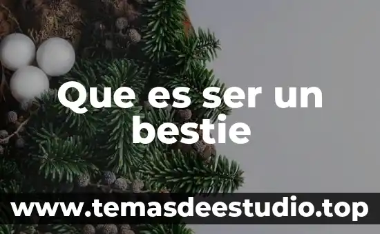 Que es ser petite 7 Que es ser un bestie