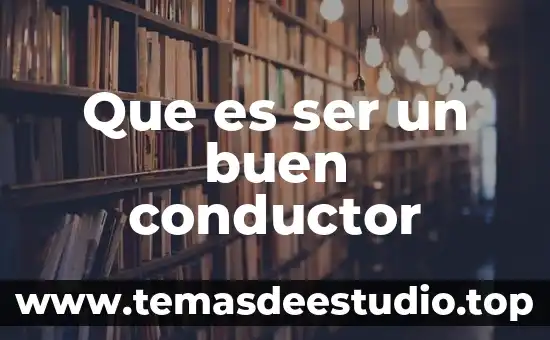Que es ser sedentario significado 3 Que es ser un buen conductor