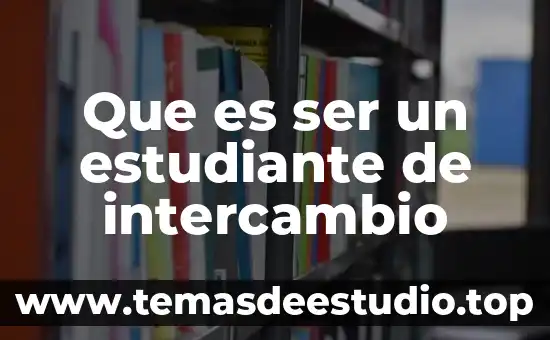 Que es ser un seguidor anonimo 8 Que es ser un estudiante de intercambio