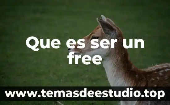 Que es un ser humano en relacion con sus semejantes 7 Que es ser un free