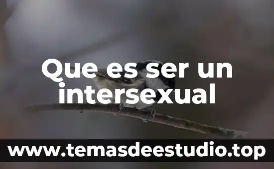 Que es ser un intersexual