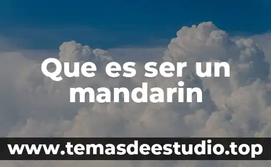 Que es ser un chico bueno 5 Que es ser un mandarin