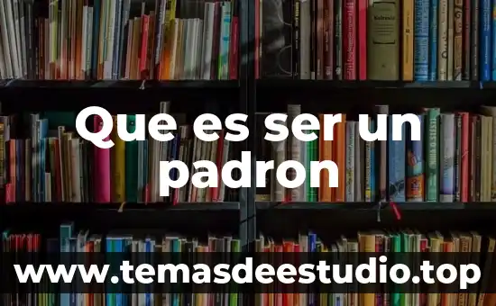 Qué es número de identificación del padrón de 4 Que es ser un padron