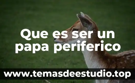 Que es ser patas negras 8 Que es ser un papa periferico