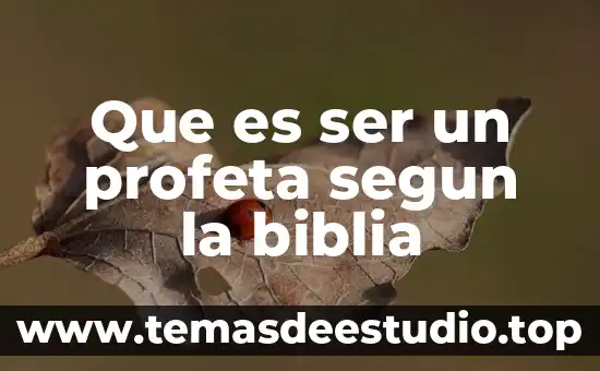 Que es ser un profeta segun la biblia