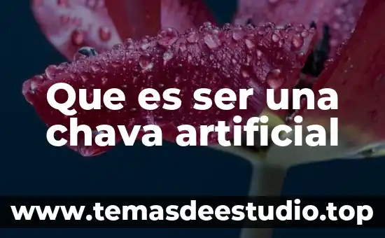 Que es ser una chava artificial