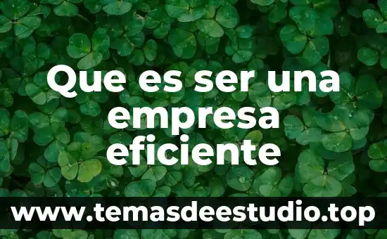 ¿Qué es cigoto concepto? 6 Que es ser una empresa eficiente