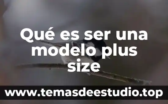 Qué es ser una modelo plus size