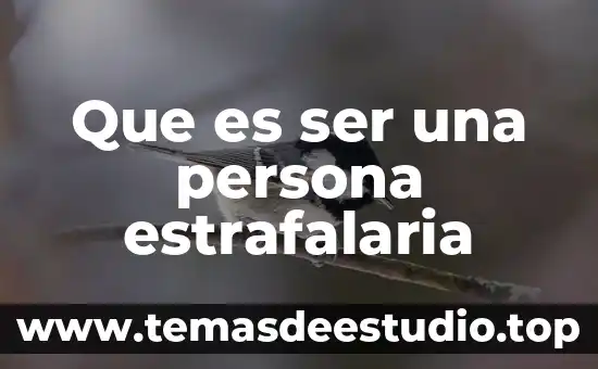 Que es ser virtuoso en filosofía 5 Que es ser una persona estrafalaria