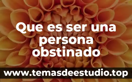 Que es ser una persona obstinado