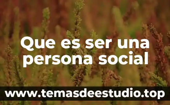 Que es una persona noble en metáfora 3 Que es ser una persona social