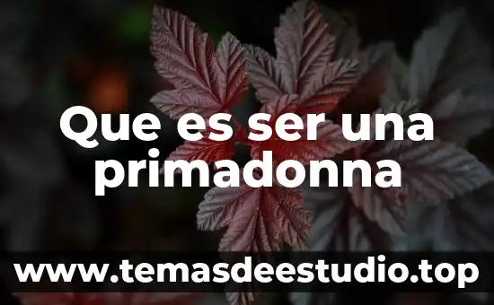 Que es ser una primadonna