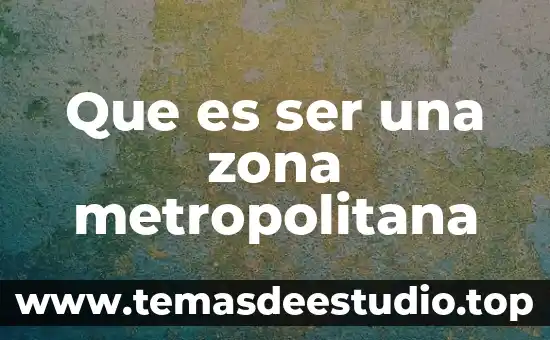 Que es ser una zona metropolitana