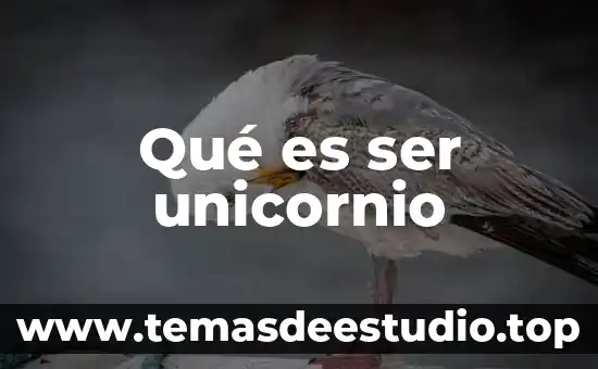 Qué es ser unicornio