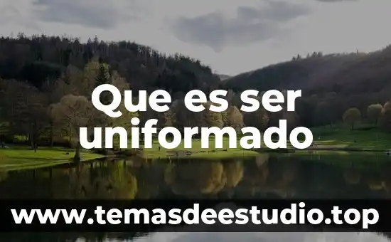 Qué es un asistente de arte 6 Que es ser uniformado