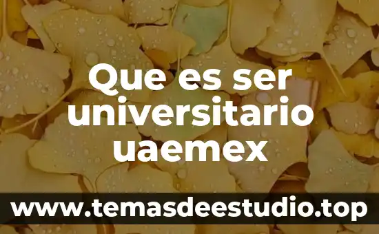 Que es ser petite 6 Que es ser universitario uaemex