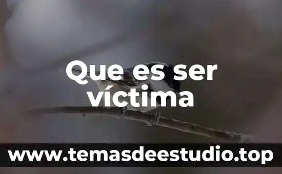 Que es ser víctima