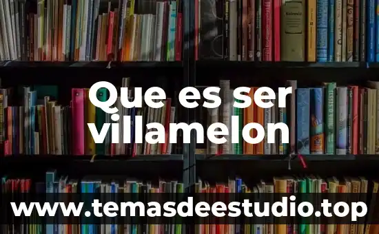 Que es ser villamelon