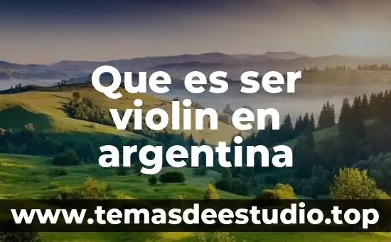 Que es ser un buen directivo 5 Que es ser violin en argentina