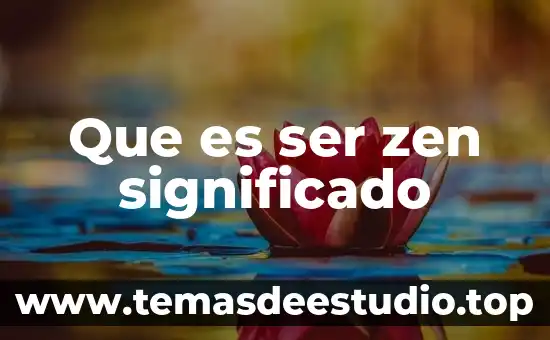 Qué es un tapete de felpa significado 4 Que es ser zen significado