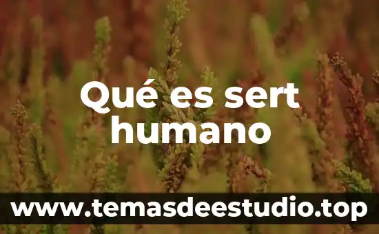 Qué es sert humano