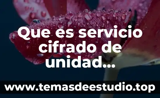Medidas de calidad del servicio definición y que es 7 Que es servicio cifrado de unidad bitlocker