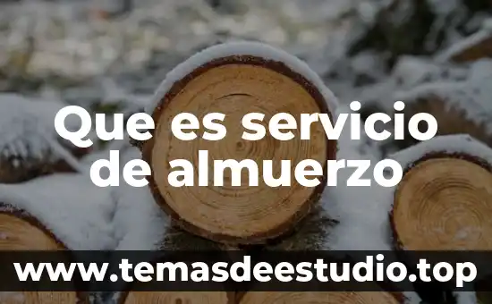 Que es un servicio publico municipal 3 Que es servicio de almuerzo