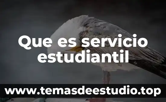 Que es servicio estudiantil