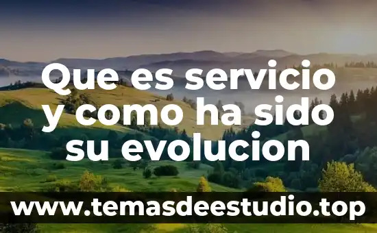 Que es servicio y como ha sido su evolucion