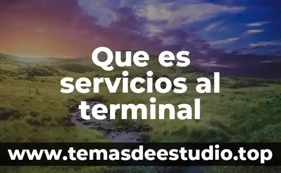 Qué es un documento de consumo de servicios 5 Que es servicios al terminal