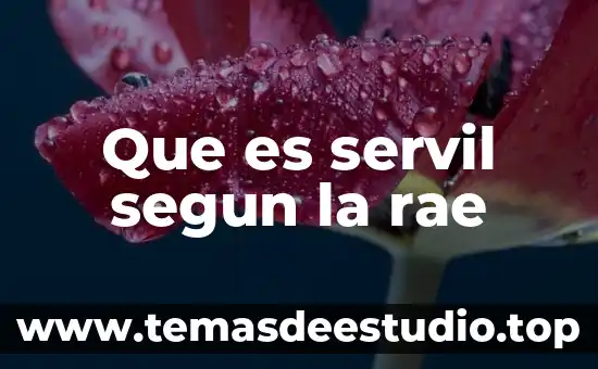 Que es feminidad segun la rae 7 Que es servil segun la rae