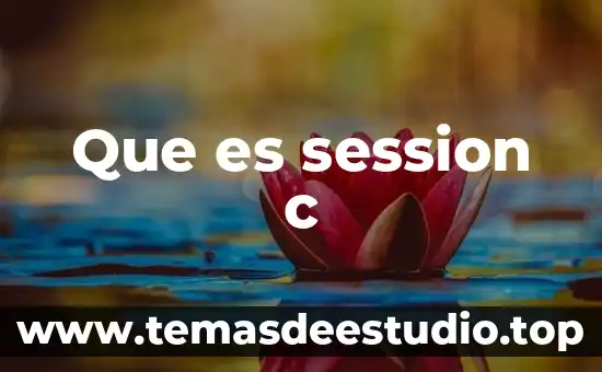 Que es c sv 7 Que es session c