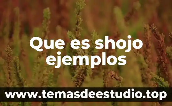 Que es razonamiento etico ejemplos 8 Que es shojo ejemplos