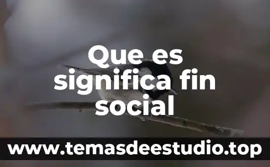 Por que es un problema social la inseguridad 3 Que es significa fin social
