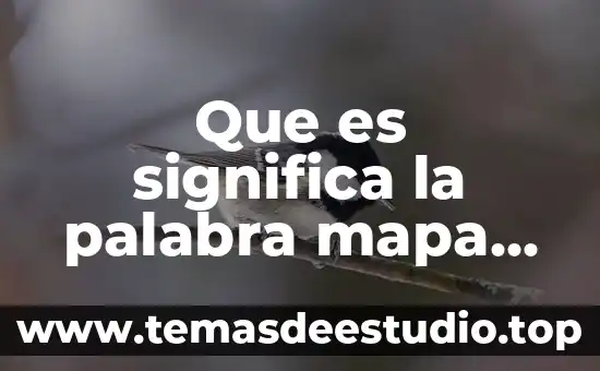 Persona que es un hongo 4 Que es significa la palabra mapa conceptualpalabra hongo