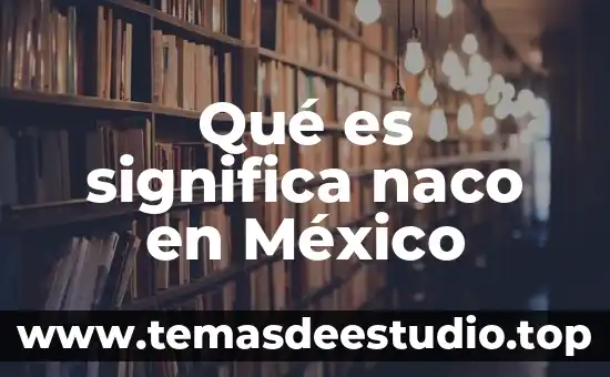 Que es el sector informal en mexico 4 Qué es significa naco en México