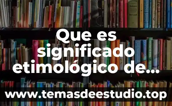 Que es la palabra virilidad 8 Que es significado etimológico de la palabra biblia