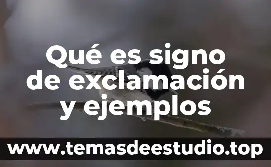 Que es el signo linguistico concepto 4 Qué es signo de exclamación y ejemplos