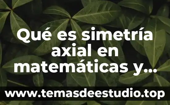 Que es el argumento de un plano 2d 7 Qué es simetría axial en matemáticas y ejemplos