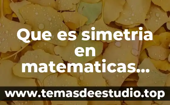 Que es la intencion didactica en una planeacion en matematicas 7 Que es simetria en matematicas para niños