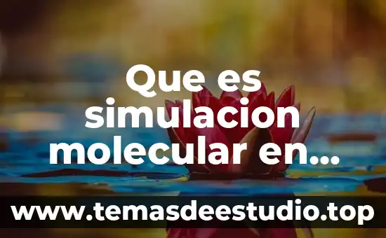 Que es simulacion molecular en ingenieria quimica