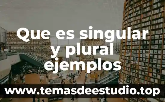Que es una sociedad plural ejemplo 4 Que es singular y plural ejemplos