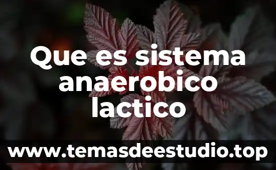 Qué es un ácido láctico 5 Que es sistema anaerobico lactico