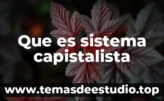 Que es un distrito urbano arquitectura 6 Que es sistema capistalista