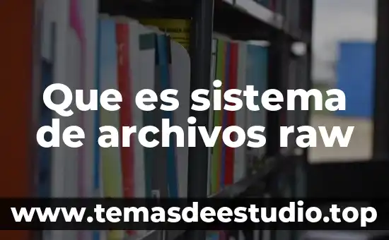 Archivos uuuu.uuuu en memorias que es 4 Que es sistema de archivos raw