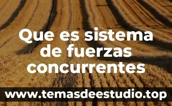 Qué es mejor fuerzas federales o gendarmería 4 Que es sistema de fuerzas concurrentes