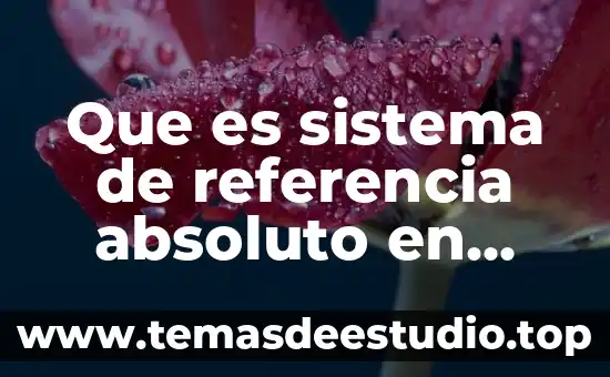 Que es un marco de referencia definicion 8 Que es sistema de referencia absoluto en fisica